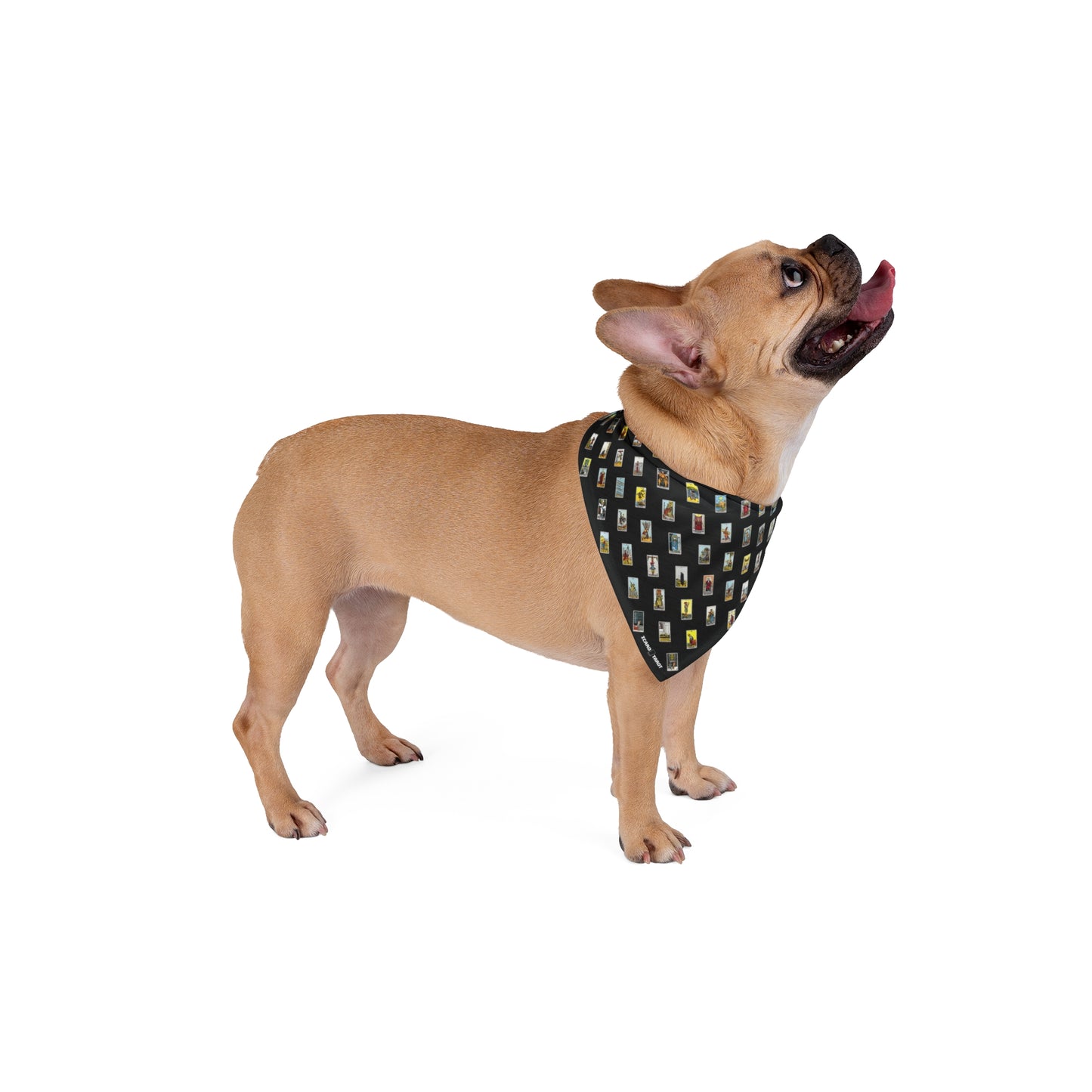 Pet Bandana (Black)