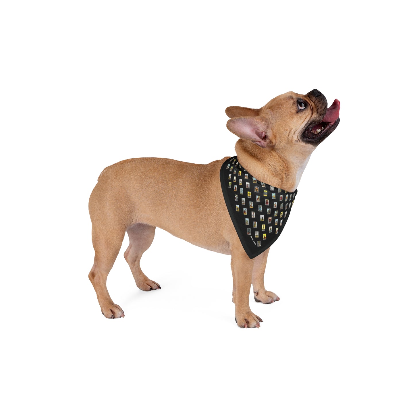 Pet Bandana (Black)