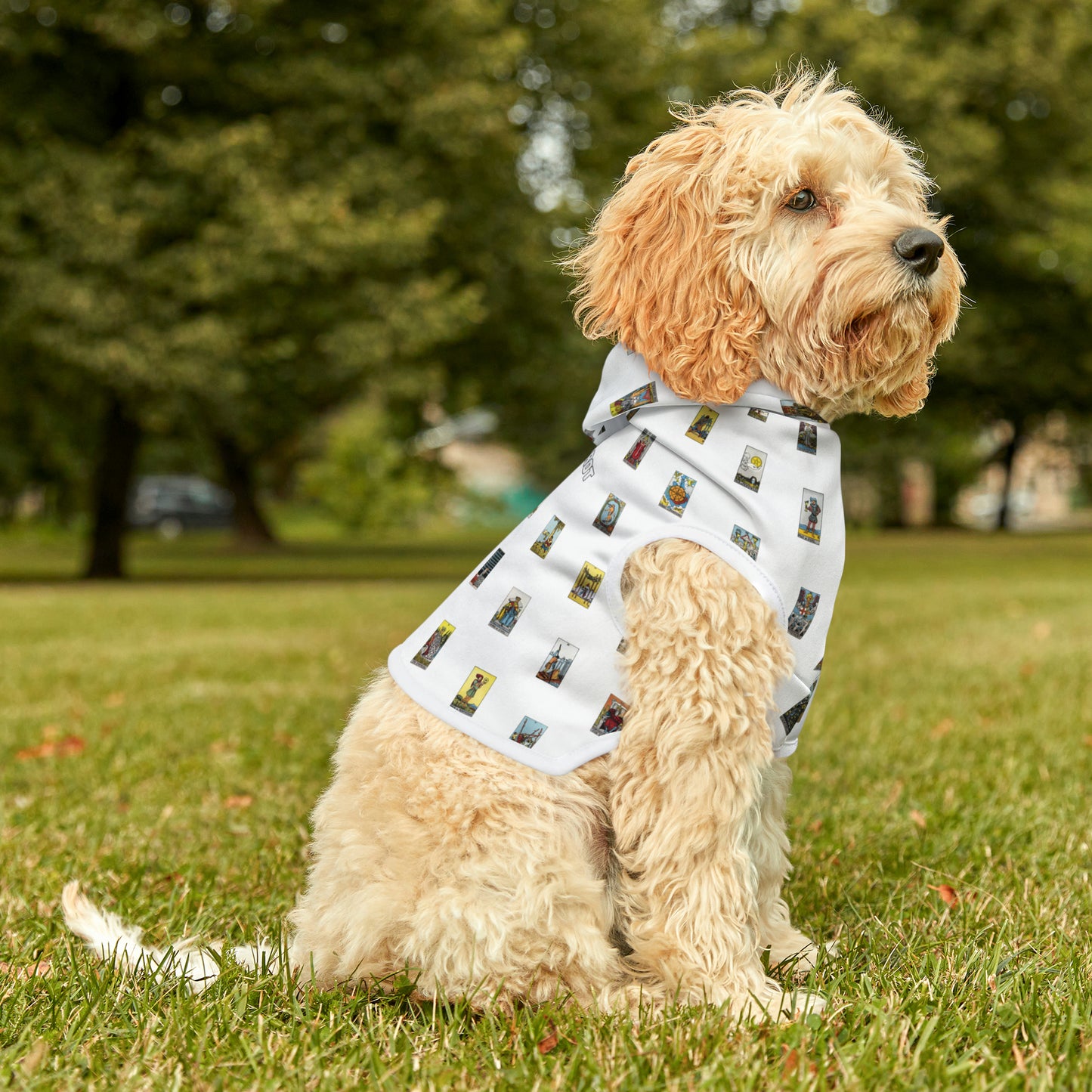 Pet Hoodie (White)