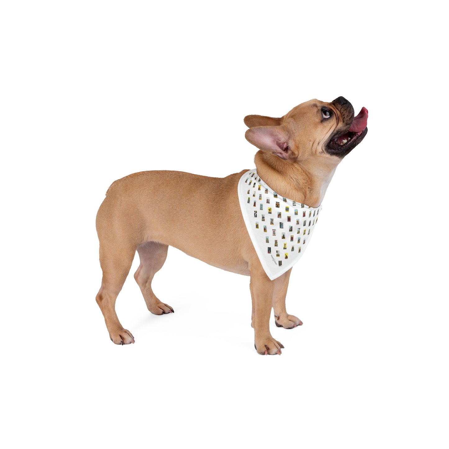 Pet Bandana (White)