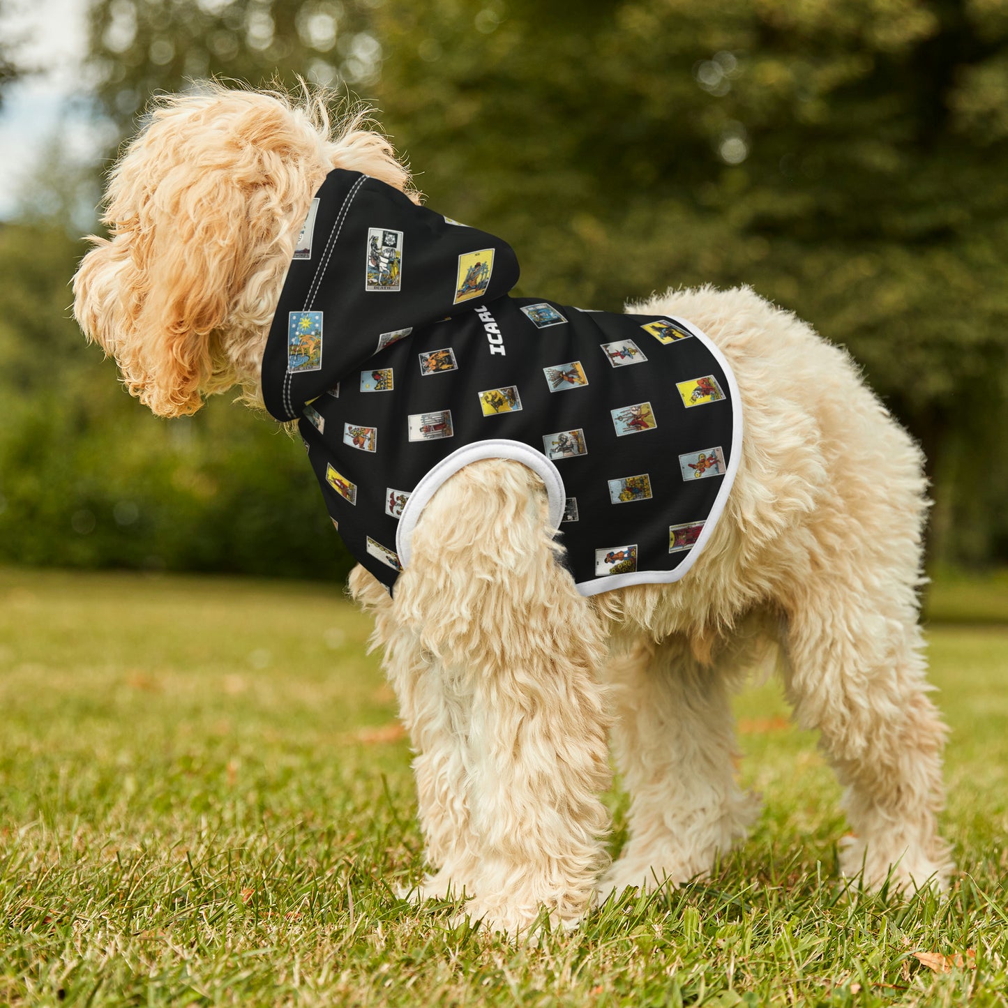 Pet Hoodie (Black)